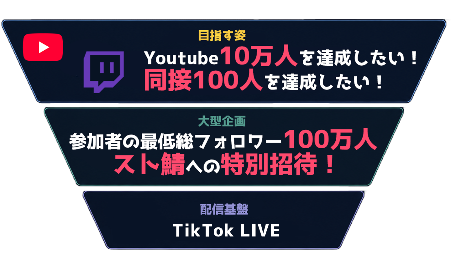 TikTok Agency