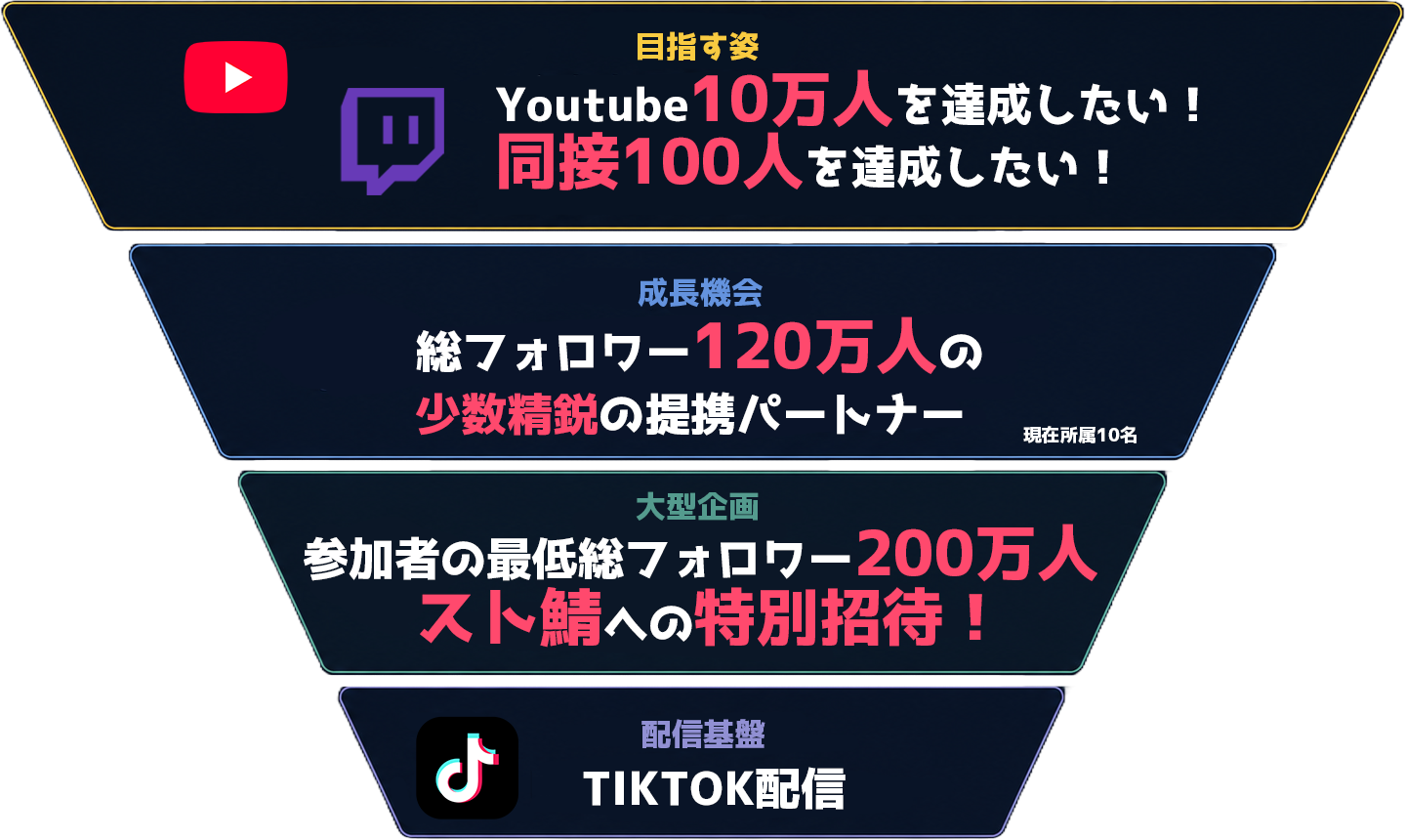 TikTok Agency